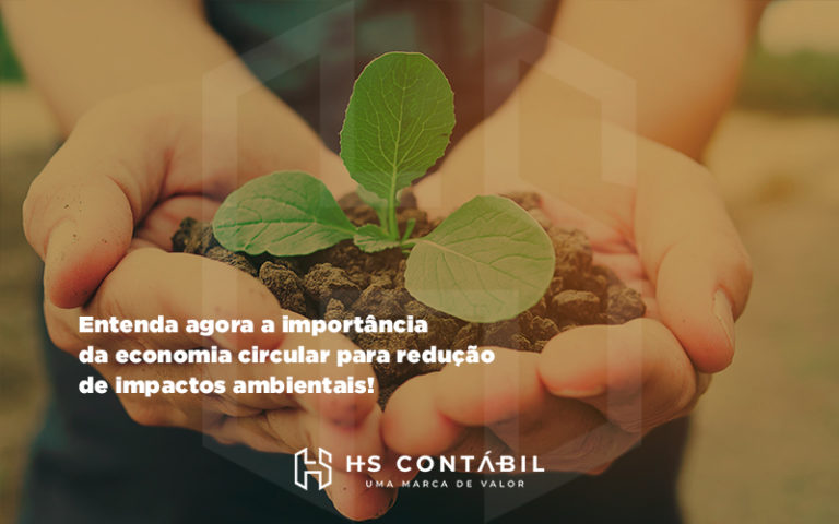 Empresas Apostam Em Economia Circular Para Reduzir Impactos Ambientais - Contabilidade em Santo André - SP | HS Contábil