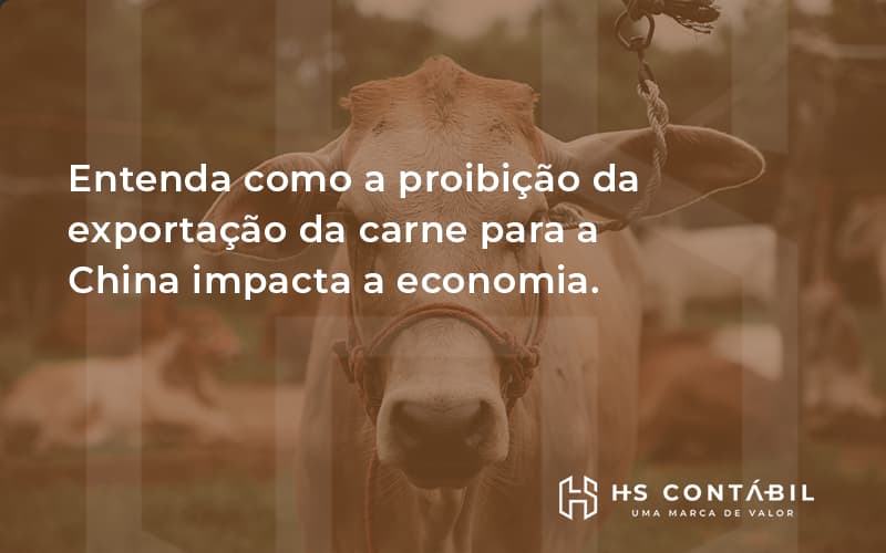 Entenda Como A Proibição Da Exportação Da Carne Para A China Impacta A Economia. Hs - Contabilidade em Santo André - SP | HS Contábil
